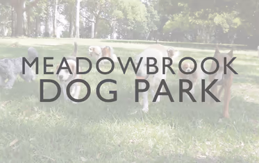 Meadowbrook Dog Park
